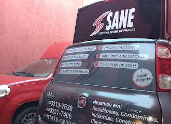 imagem-1781215899