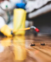 Exterminator