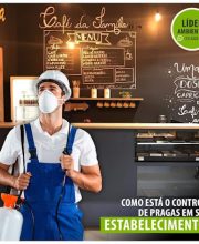 imagem-1781251274