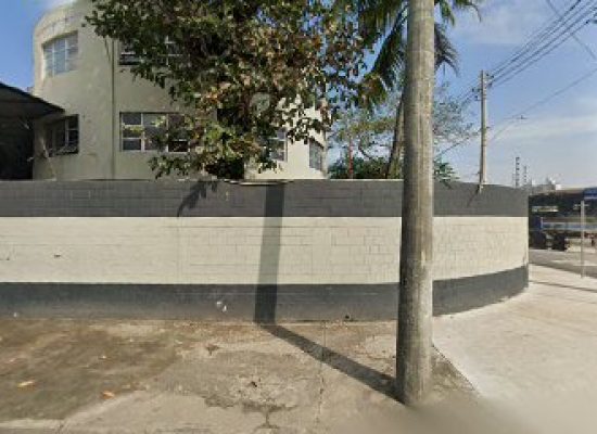 imagem-1781301677