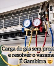 imagem-1782986473